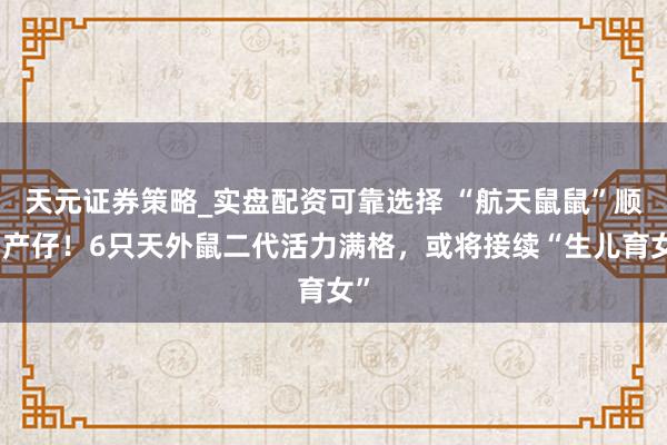 天元证券策略_实盘配资可靠选择 “航天鼠鼠”顺利产仔！6只天外鼠二代活力满格，或将接续“生儿育女”