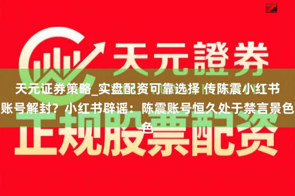 天元证券策略_实盘配资可靠选择 传陈震小红书账号解封？小红书辟谣：陈震账号恒久处于禁言景色