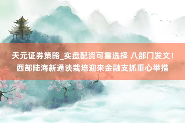 天元证券策略_实盘配资可靠选择 八部门发文！西部陆海新通谈栽培迎来金融支抓重心举措