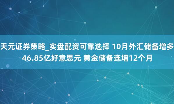 天元证券策略_实盘配资可靠选择 10月外汇储备增多46.85亿好意思元 黄金储备连增12个月